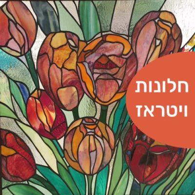 קורס ויטראז - מכללת ורצברגר