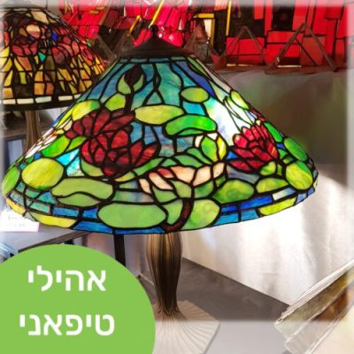 קורס ויטראז - מכללת ורצברגר
